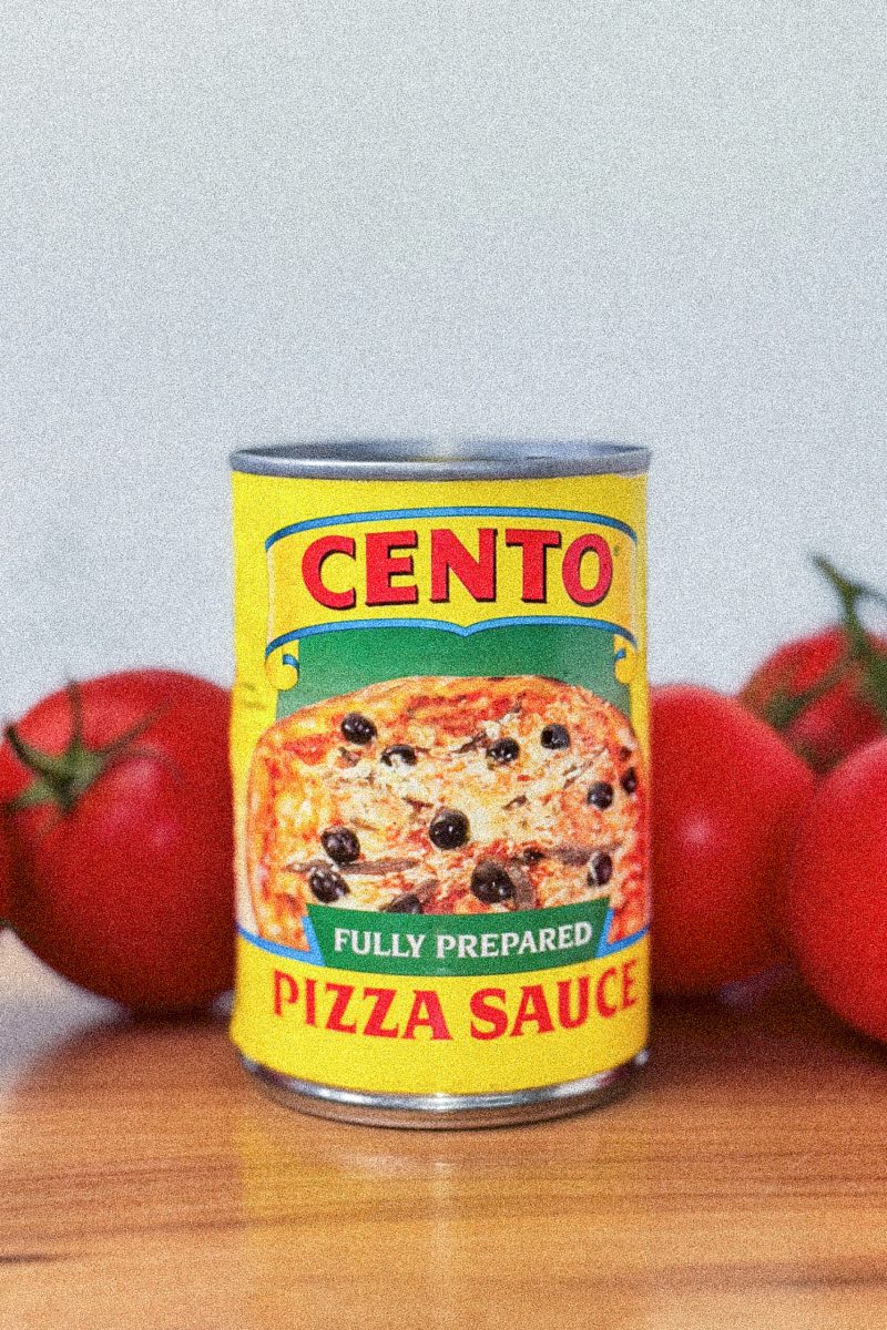 1024x1500_Portfolio_Image_Cennto